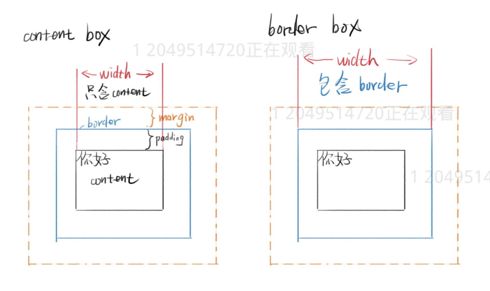 box model